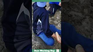 Best working day #1464 The process of finding crabs