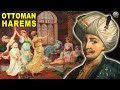 A Glimpse Into an Ottoman Sultan's Harem