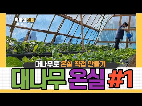 그린하우스