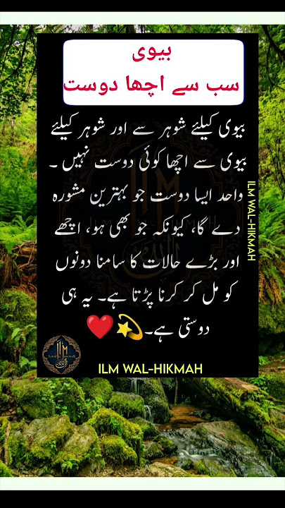 Beautiful Words #quotes #biwi #husband #wife #mohabbat #love #beautiful #bestquotes #ytshorts #life