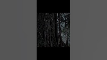 Kutukan keranda mayit #shortvideo #ujinyali #supranatural #angker #dunialain #hantu #viral