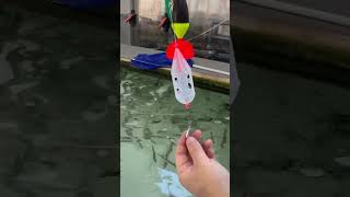 3号ウキに3号のオモリをつけて、実際にどれだけ海面からでるのか?残存浮力の実際の調査。これにステンレスかごを付けるともっと沈むため、オモリは軽くする方がいいかも。もしくはトップにケミホタルを付ける。