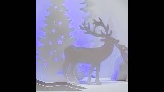 Celebrity Unique Winter Shop Window Display Net Worth