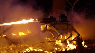 Flame-Throwing Robot Dog Available to Buy in US by Storyful Viral 816 views 3 days ago 1 minute, 39 seconds