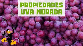 10 Propiedades de las Uvas Moradas 🍇 ¡BENEFICIOS!