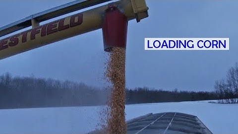 Loading Corn