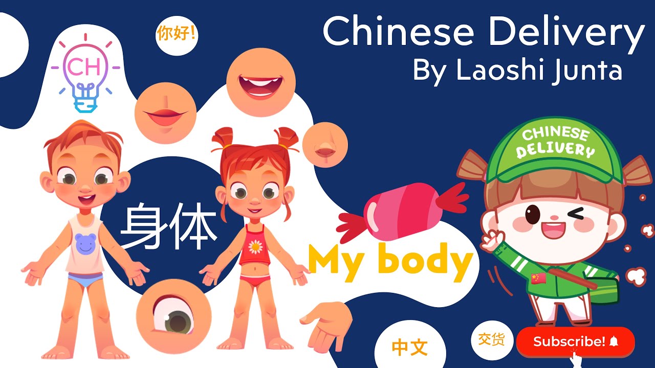 My body 我的身体 คำศัพท์ภาษาจีนและภาษาอังกฤษ เรื่อง ร่างกายของฉัน
