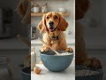 Chef Cooks Dinner for His Best Friend! 🍽️🤖🐶#AIDogChef #AIAnimation #DogCooking