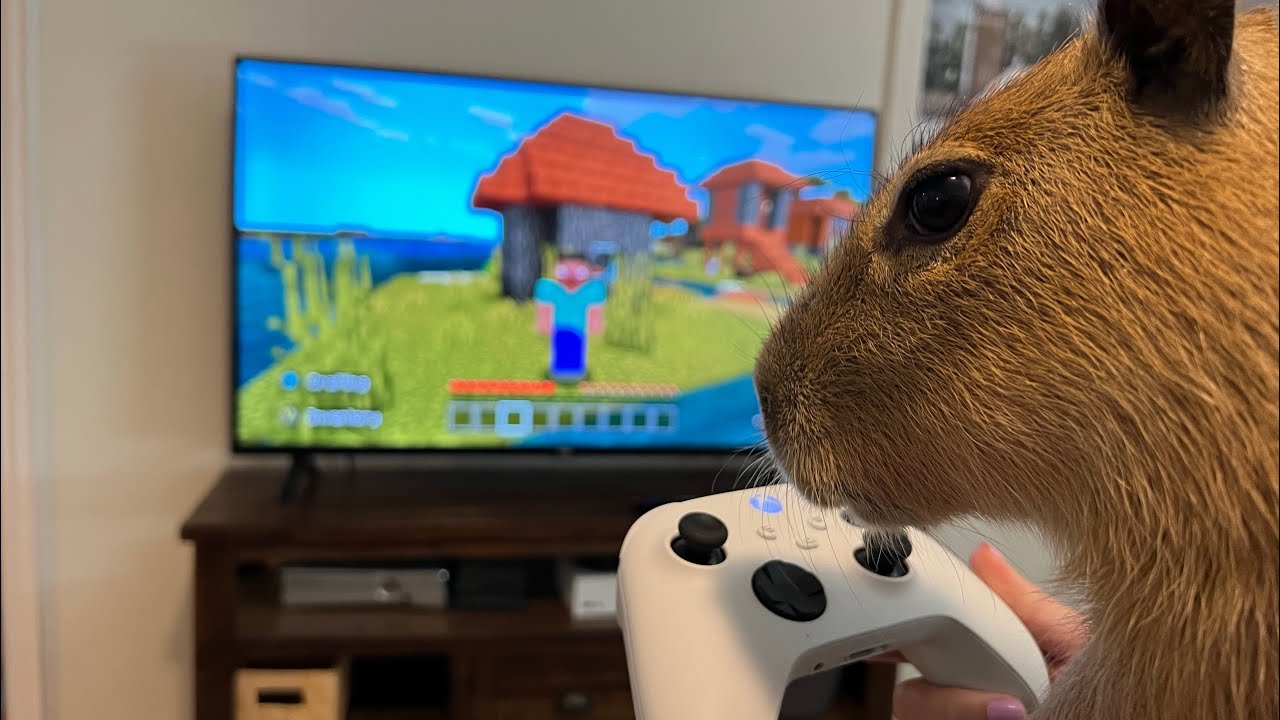 Necessário Comunidade de Minecraft Gcomu.. : necessário. CAPYBARA MAN  GCAPYBAR - minecraft capybara ORi - iFunny Brazil