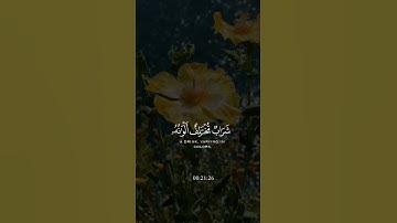 سورة النحل#quran #اكسبلور #foryou #راحة_نفسية #viralshort #allahuakbar 💐💐
