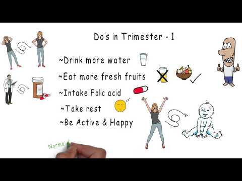 Pregnancy tips and care | First Trimester care | Series 1 