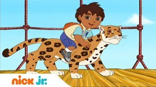 Гоу, Диего, Гоу! | Помощь детенышу-ягуару | Nickelodeon Гоу, Диего, Гоу! | Помощь детенышу-ягуару | Nickelodeon