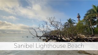 Low Tide Shelling on Sanibel Island. Hunting For Seashells at Lighthouse Beach Sanibel.