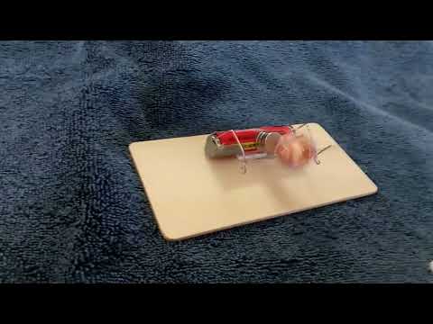 The Easiest Homemade Electric Motor