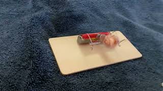 The Easiest Homemade Electric Motor