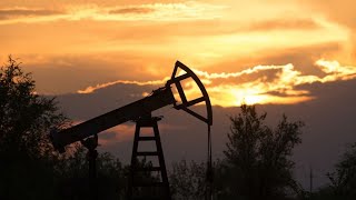 Oil Prices Won't Impact Pioneer's Growth Plans, CEO Says