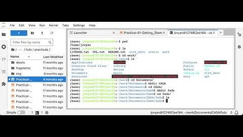 Using the Terminal in JupyterLab