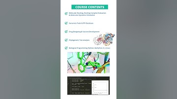 Bioinformatician FreeLance Training