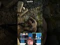 Gross, disgusting and cool all at the same time - Sniper Elite | #atfmb on #Twitch
