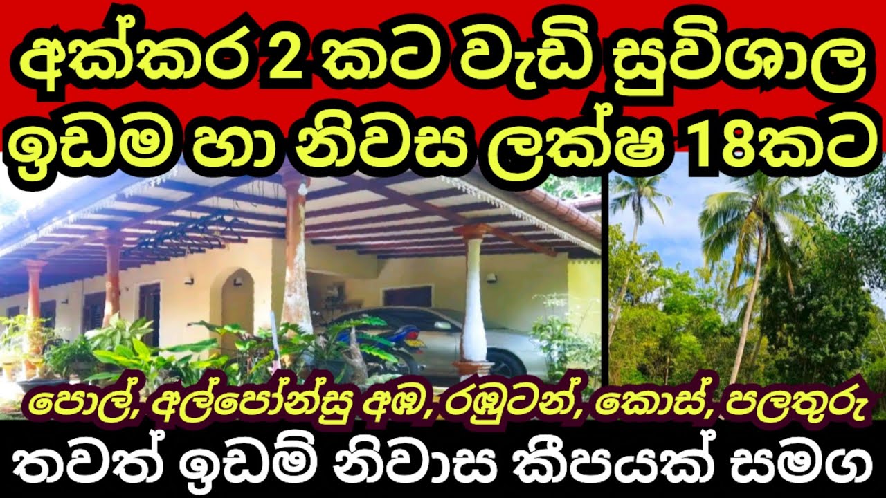 අක්කර 2 කට වැඩි ඉඩම හා නිවස ලක්ෂ 18 කට | තවත් අඩුවට විකුණන ඉඩම් නිවාස | Land for sale| Land for sale