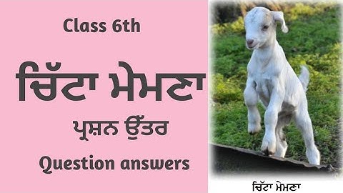 Class 6 Punjabi chapter 2 | Chita Memna  | 6th Class Punjabi Book Chapter 2 | Questions Answers |