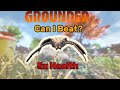 Can i beat the Broodmother on 5x Health Difficulty?