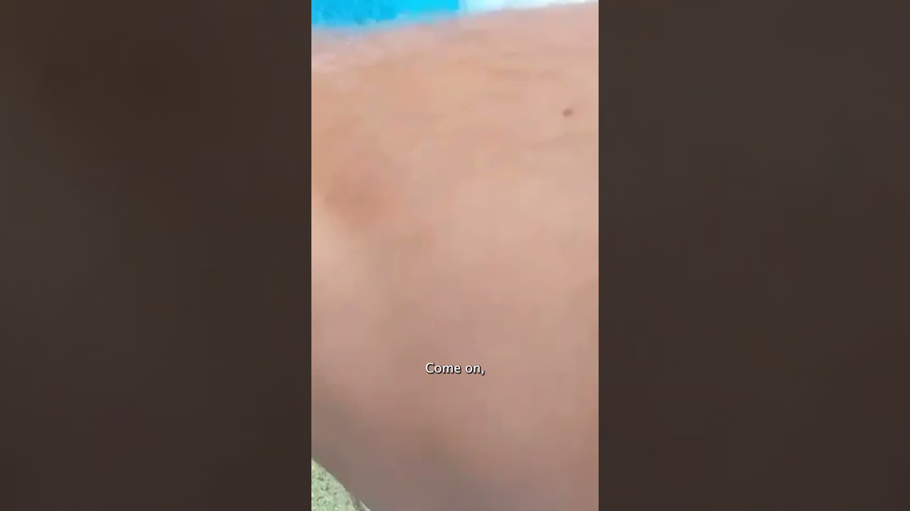 Fawn beats the heat, but gets stuck in swimming pool #Shorts