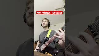 Come back next Tuesday! #meshuggah #rationalgaze #djent #thall #guitar