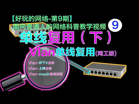网工级硬核组网科普，Vlan，单臂路由，网管交换机，单线复用（下）