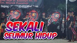 SEKALI SEUMUR HIDUP - Cek Sound Jaranan Paling Enak, Jaranan Version By.Pranata Audio