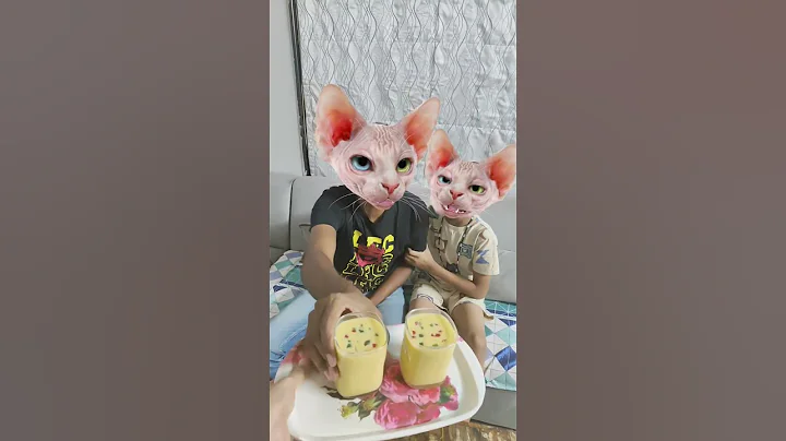 Watch the video about Bhai 😂 dudh pi lo 😋 #funny #comedy #cute #prank #cat #sphynx #shorts #kitten #meow #cartoon