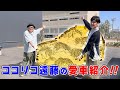 【愛車紹介】ココリコ遠藤の愛車はとんねるず・木梨憲武さんから購入！