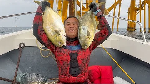 大深藍魚獲寥寥無幾，反程路過海上風塔，碰上很好的魚情 - 天天要聞