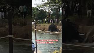 ದುಬಾರೆ ಆನೆ ಕ್ಯಾಂಪಿನಲ್ಲಿ ನಡೆದ ದುರ್ಘಟನೆ😭#ಕಂಜನ್_ಜಯ ಮಾರ್ತಾಂಡ ಆನೆ🐘#PLEASE FOLLOW THE RULES🙏KEEP DISTANCE🙏