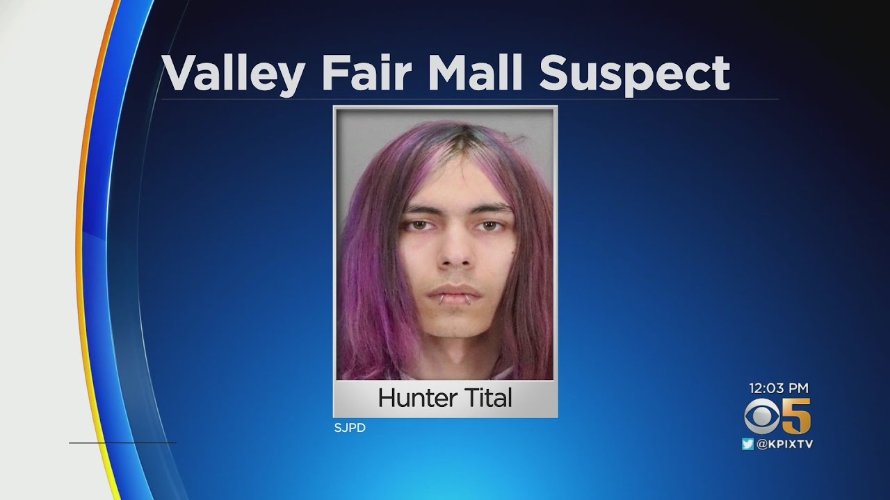 Police Identify Suspect Who Threatened to Shoot Up San Jose Valley