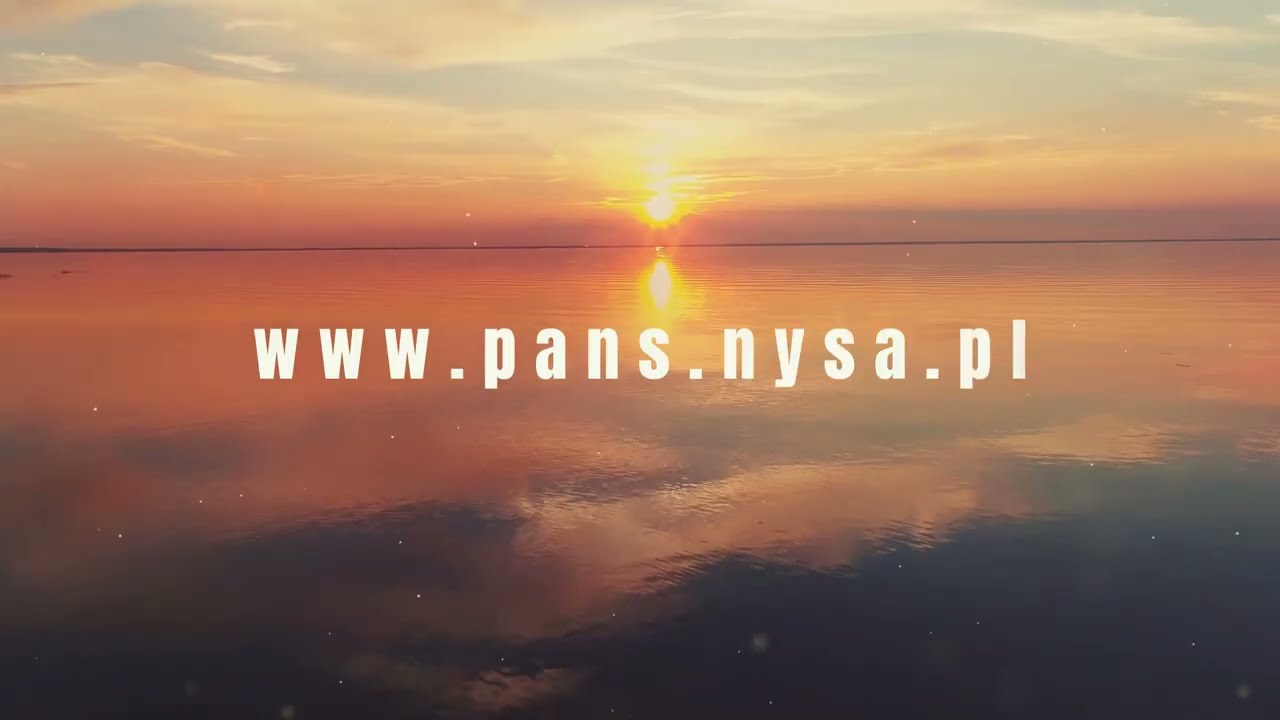 Odtwarzacz wideo YouTube