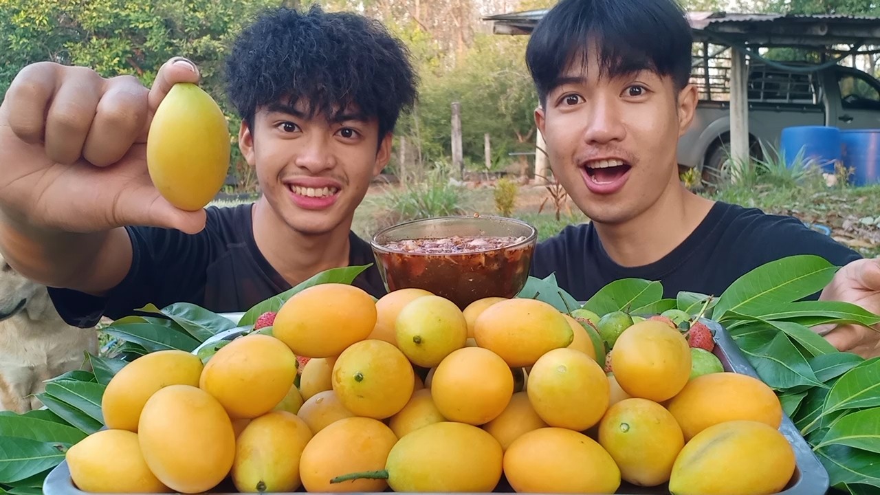 มะยงชิด ลูกใหญ่ๆกินกับนํ้าพริกปลาร้า เปรี้ยวอมหวานนัวร์มากๆ