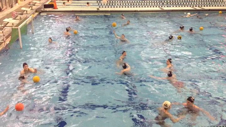Coach Elizabeth Timmons & Fenwick Water Polo 2016