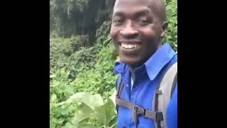 Ok Meme Hi Ok Short Clip From Original Video Meme Creator Content Agent Moo