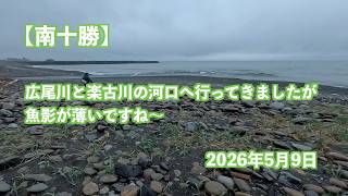 Download lagu [Southern Tokachi] I went to the estuaries of the Hiroo River and Rakko River, but there were ver...