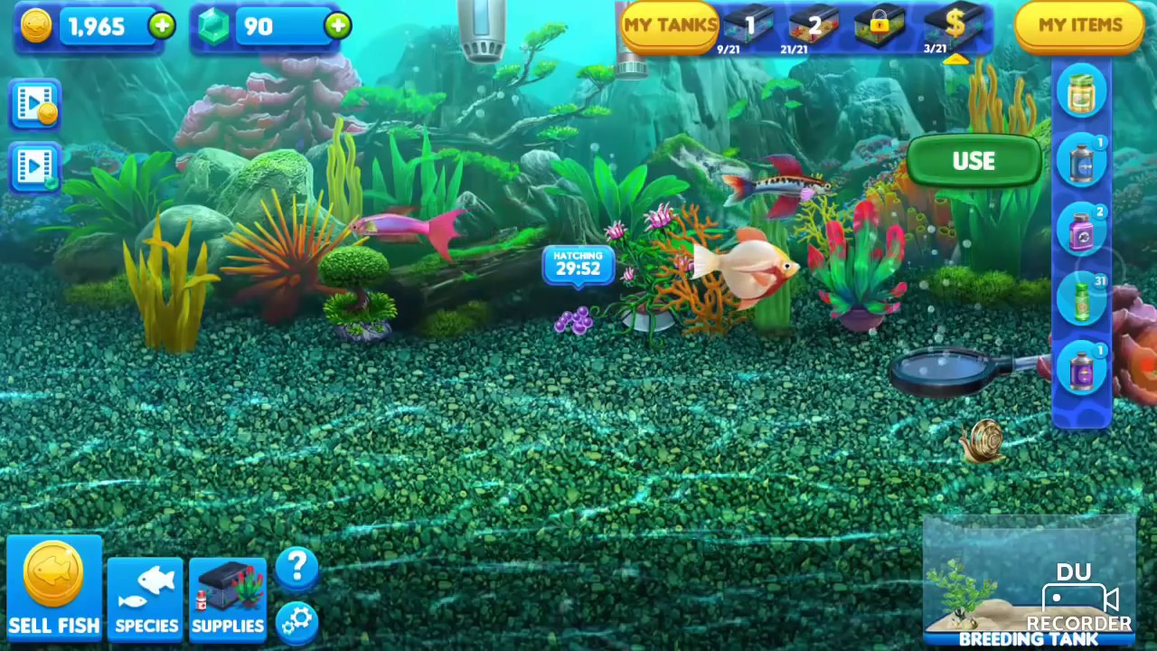 fish tycoon 3