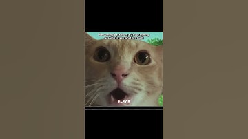 Me coming back from a 3 hours mining ⛏️ season to see what bro build 😭 #minecraft #shorts