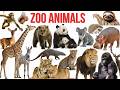 Zoo Animals with Sounds | Animals for Kids | Learn 50 Animal |  Toddler Preschool Learning #animals