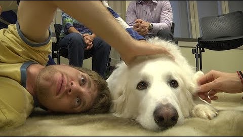 Duke University students take a study break and play with puppies