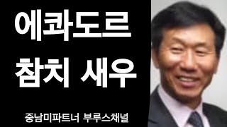 에콰도르 새우, 오뎅공장 진출기회등, 쵸콜렛 수입, 참치 통조림, 부루스채널 수출정보, 중남미 시장진출