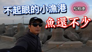 第一次來台中松柏漁港釣查就被剪,不起眼的小漁港還真的有魚!岸拋路亞 微鐵 赫馬士 Shore Slow Jigging In Taiwan 第一次來台中松柏漁港釣查就被剪,不起眼的小漁港還真的有魚!岸拋路亞 微鐵 赫馬士 Shore Slow Jigging In Taiwan