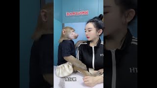 Harmonious coexistence between humans and animals#spirit#shorts