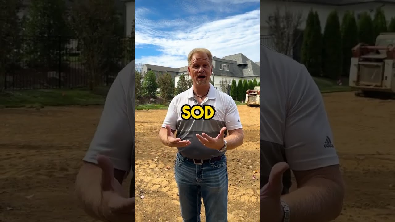 How To Prep Your Lawn For New SOD 
