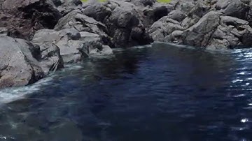 Unreal Engine 4.8  water / grass test