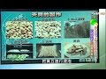 黃豆發了醫生的臉就綠了？防癌抗老的國寶美食 健康2.0 20160221 (完整版)